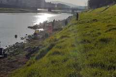 IMG-20220320-WA0001
