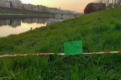 IMG-20220320-WA0003