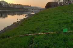 IMG-20220320-WA0004