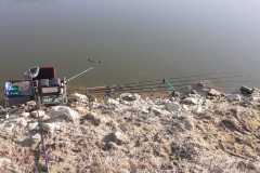 IMG-20220320-WA0009