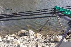 IMG-20220320-WA0015