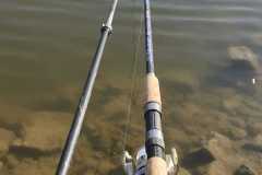 IMG-20220320-WA0017