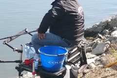 IMG-20220320-WA0018