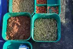 IMG-20220320-WA0020