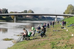 Arno 6